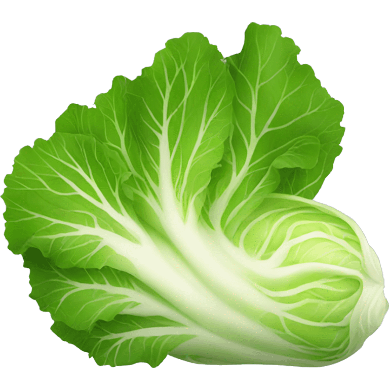 Chinese cabbage emoji