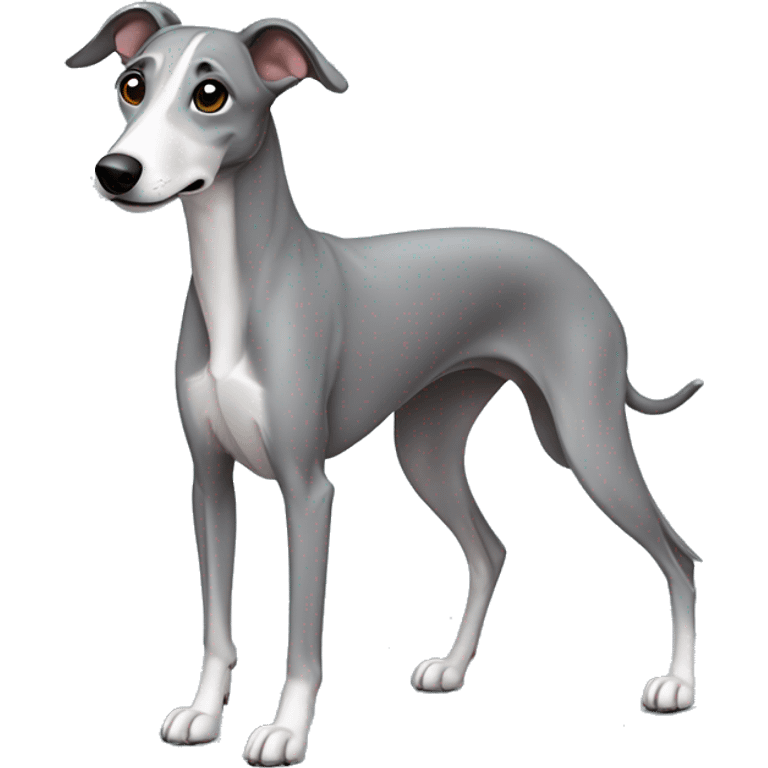 Grey whippet  emoji