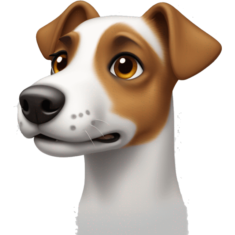 jack russel dog with slight grey around muzzle and brown spot central forehead emoji