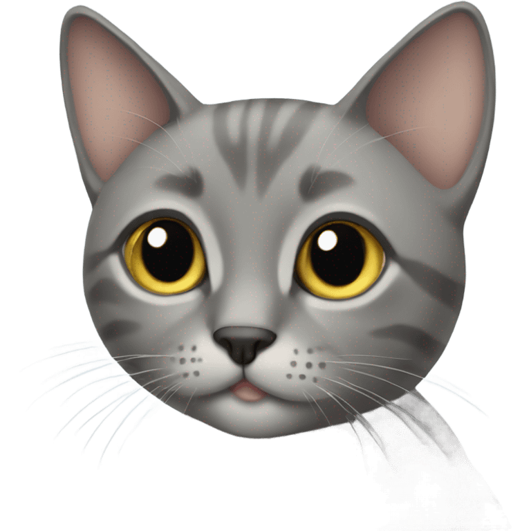 Grey cat, short hair emoji