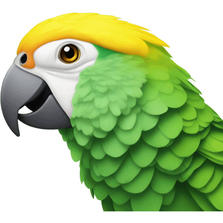 Yellow-headed amazon
Bird
 emoji