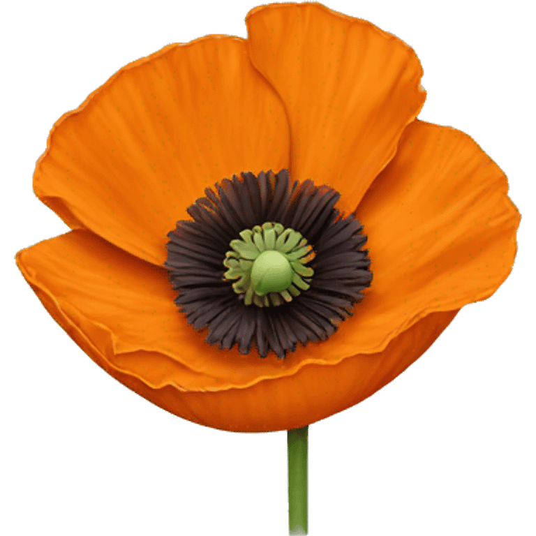 Orange poppy emoji