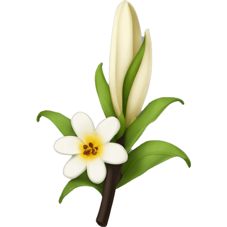  natural vanilla beans with flower emoji