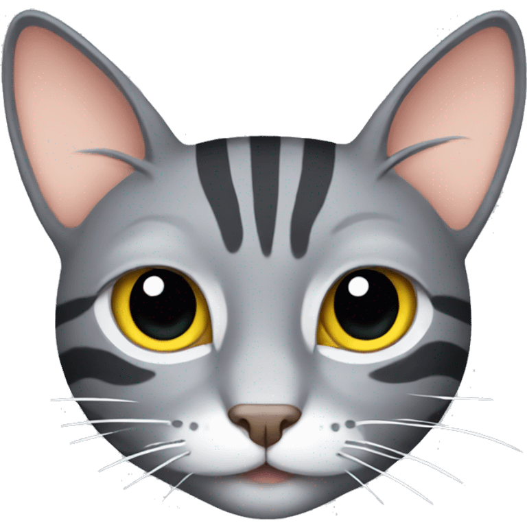 Gray cat with stripes emoji