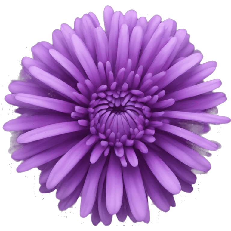 purple chrysanthemum  emoji