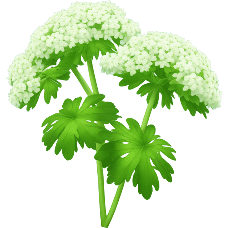 Angelica plant  emoji