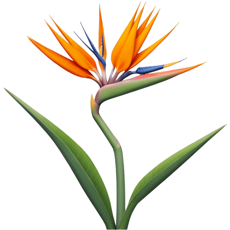 single Strelitzia Reginae, straight stem emoji