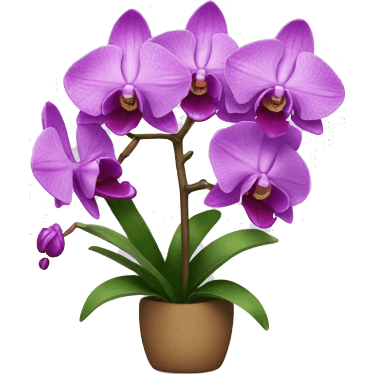 orchid emoji