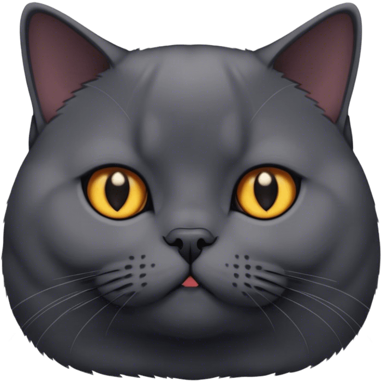 black British shorthair cat emoji