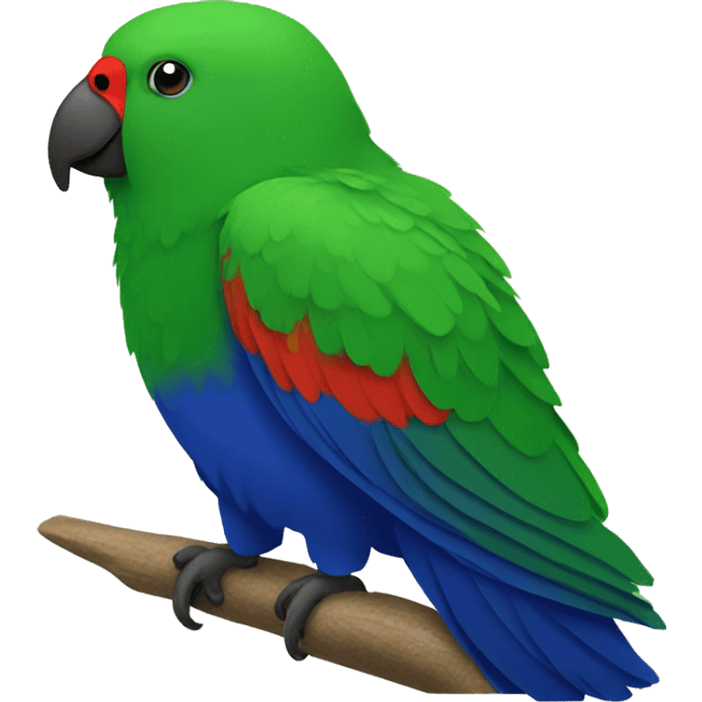 Eclectus parot emoji