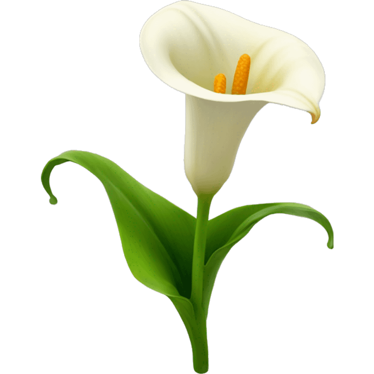 Cala lily flower  emoji