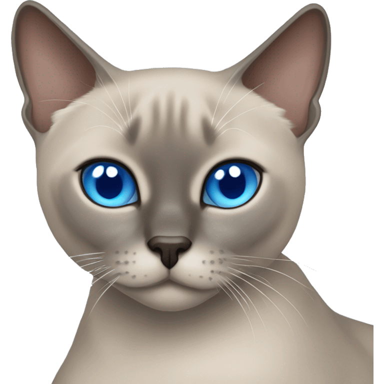 Blue mink tonkinese cat with blue eyes curled up emoji