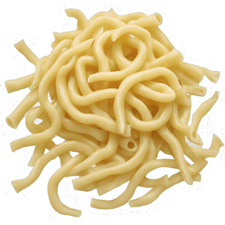 uncooked noodles emoji