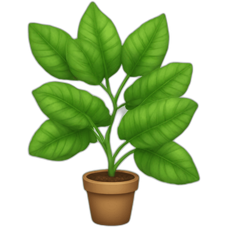 plant with big leaves emoji