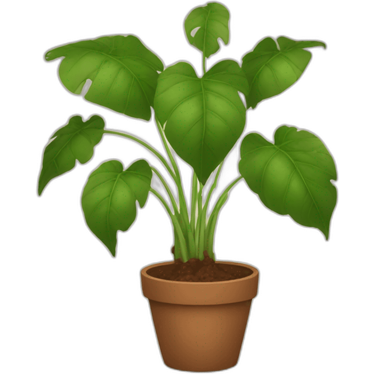 plant with lots of big stems and big leaves in a brown flower pot emoji