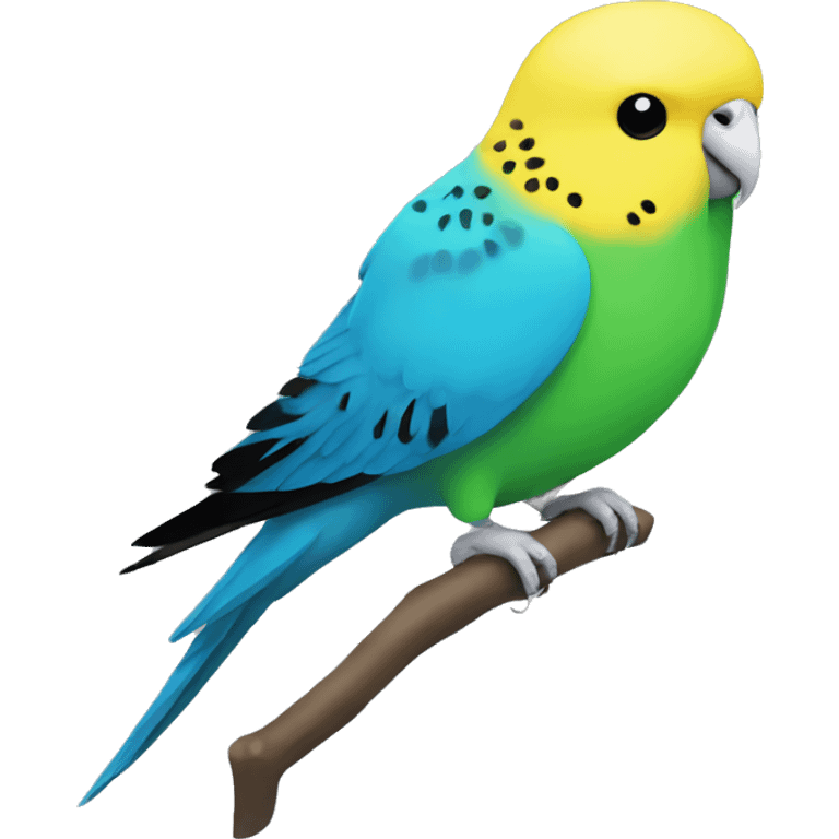 budgie with a green and black body and a yellow head with at blue nose emoji