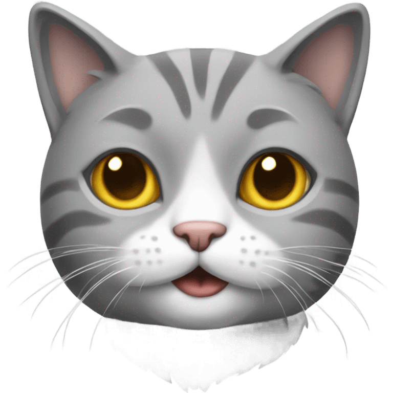 Cat gray with white  emoji