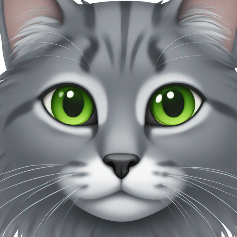 Grey fluffy cat with green eyes emoji