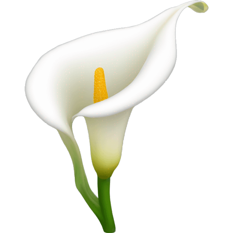 Calla Lily emoji