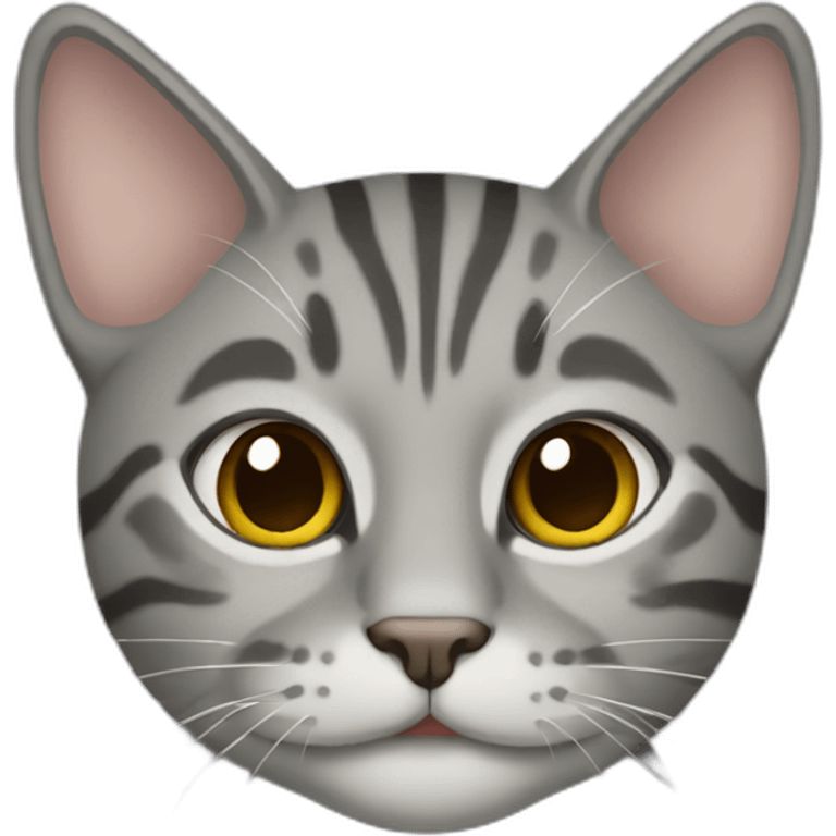 Gray Tabby cat emoji