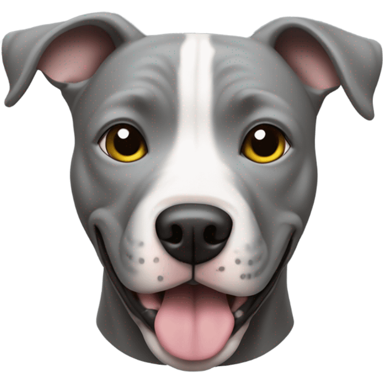 pitbull gris bebé  emoji