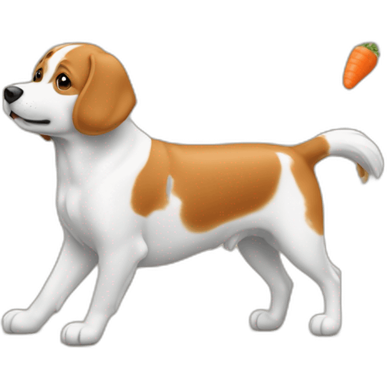 Chat sur un chien qui mange des carottes  emoji