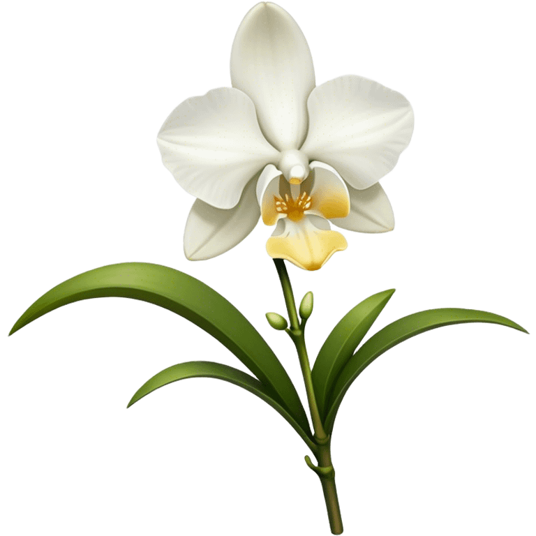 single white Dendrobium Orchid straight stem emoji