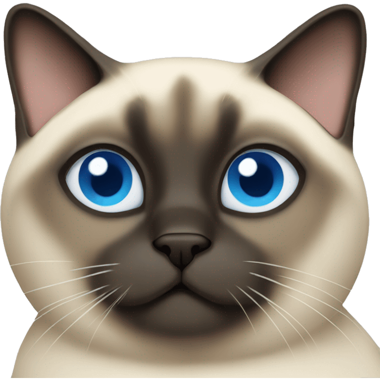 Fat Siamese cat blue eyes emoji