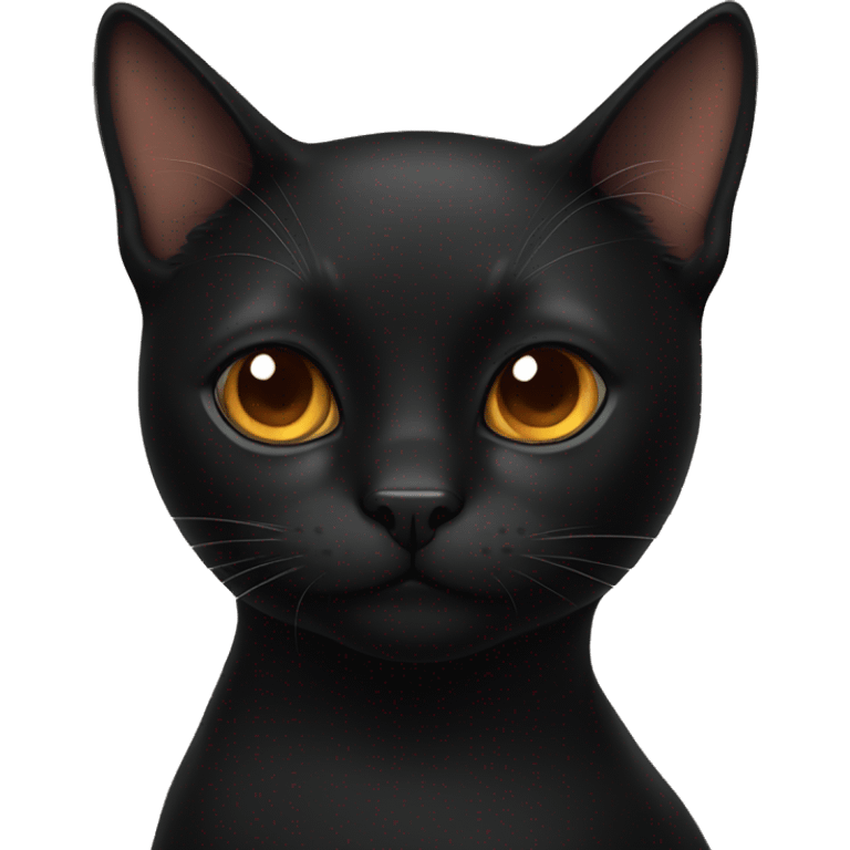 Black cat with copper eyes emoji