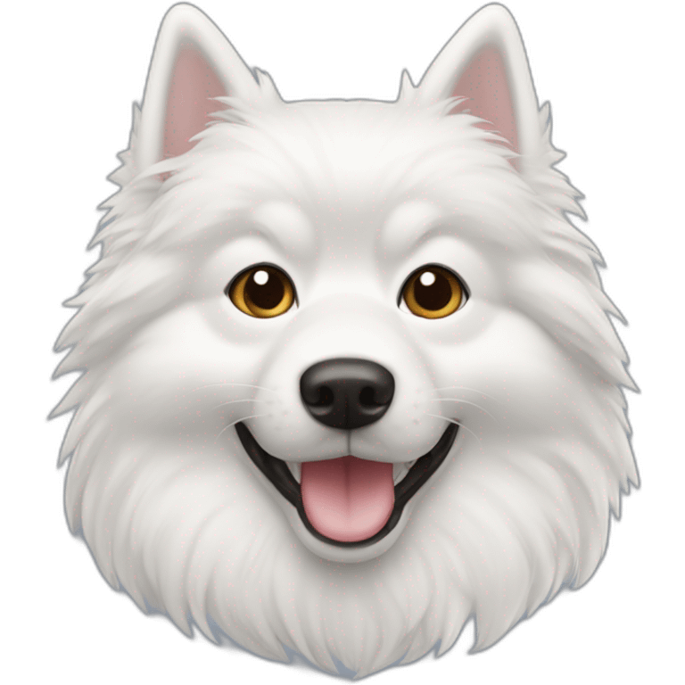 Spitz nain blanc emoji