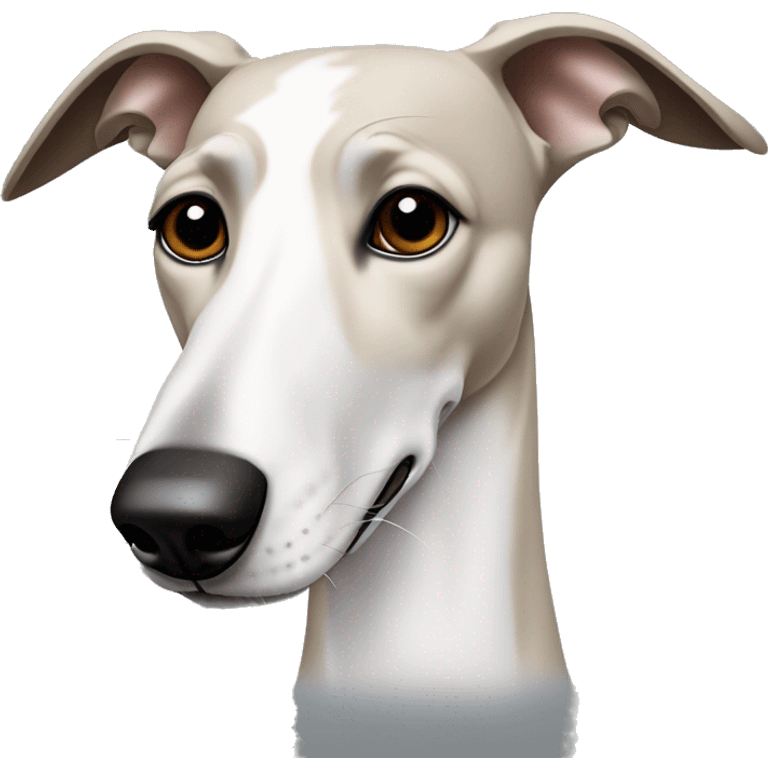 White greyhound dog with a big black patch over her right side eye and ear with brown eyes and black patches all over  emoji