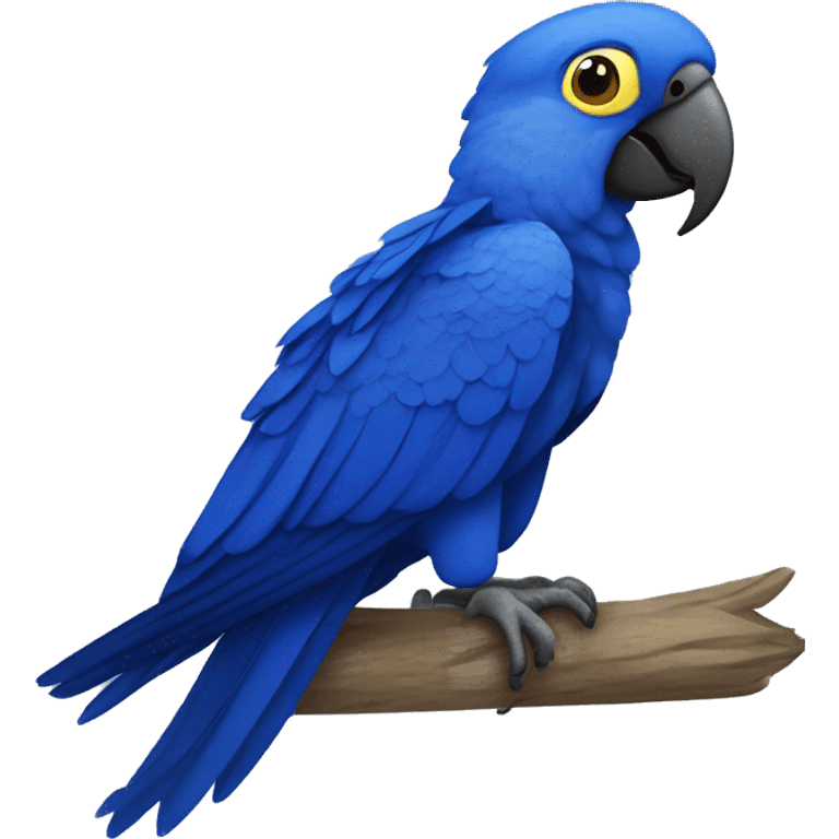 Hyacinth macaw  emoji