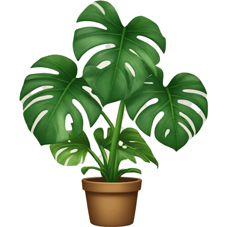 Monstera plant emoji