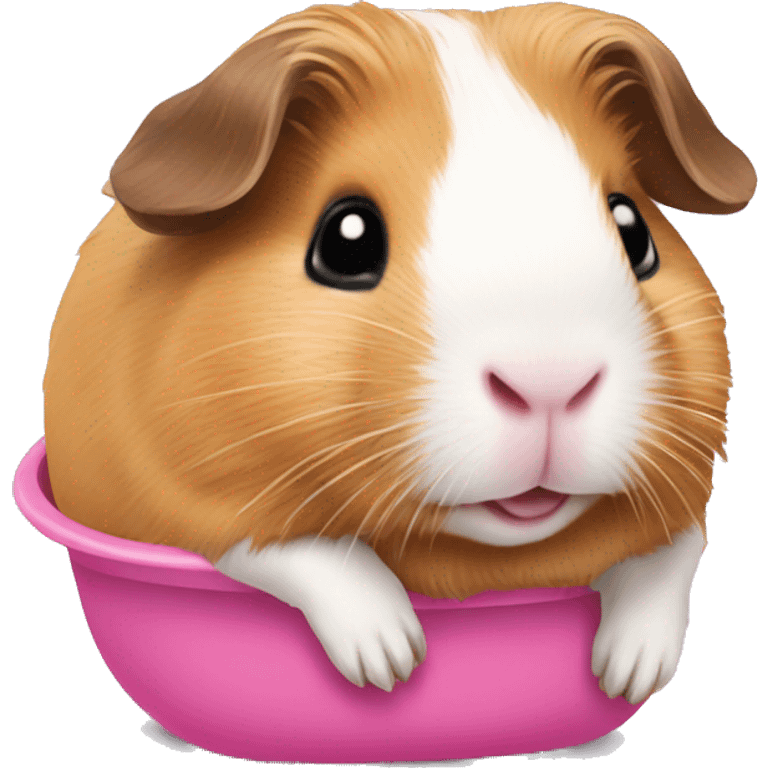 Guineapig in a pink hammoc emoji