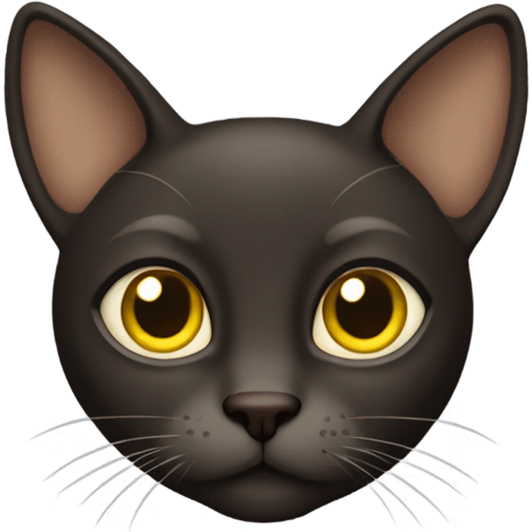 Dark brown cat with yellow eyes and big ears and long nose  emoji