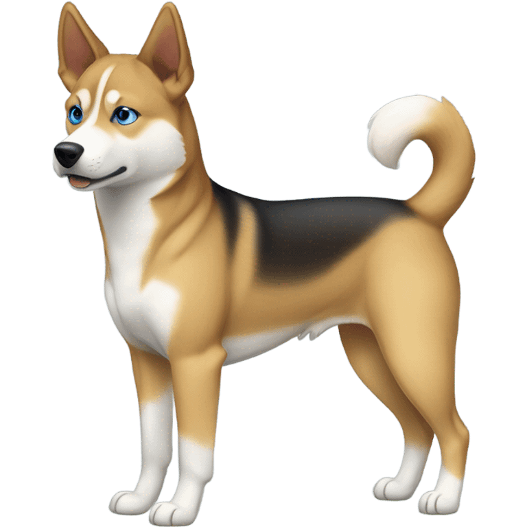 Carolina dog mixed with a husky rescue from Puerto Rico  emoji