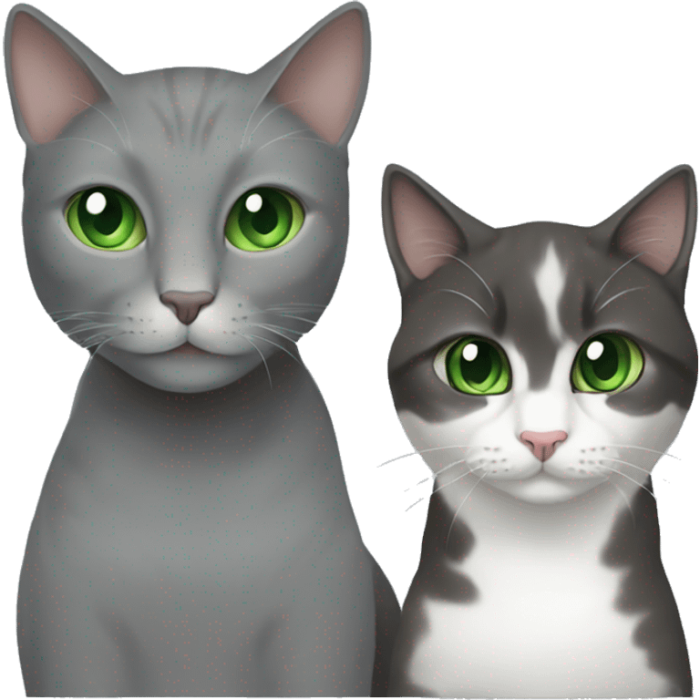 gray cat with green eyes with a brunette girl with green eyes emoji