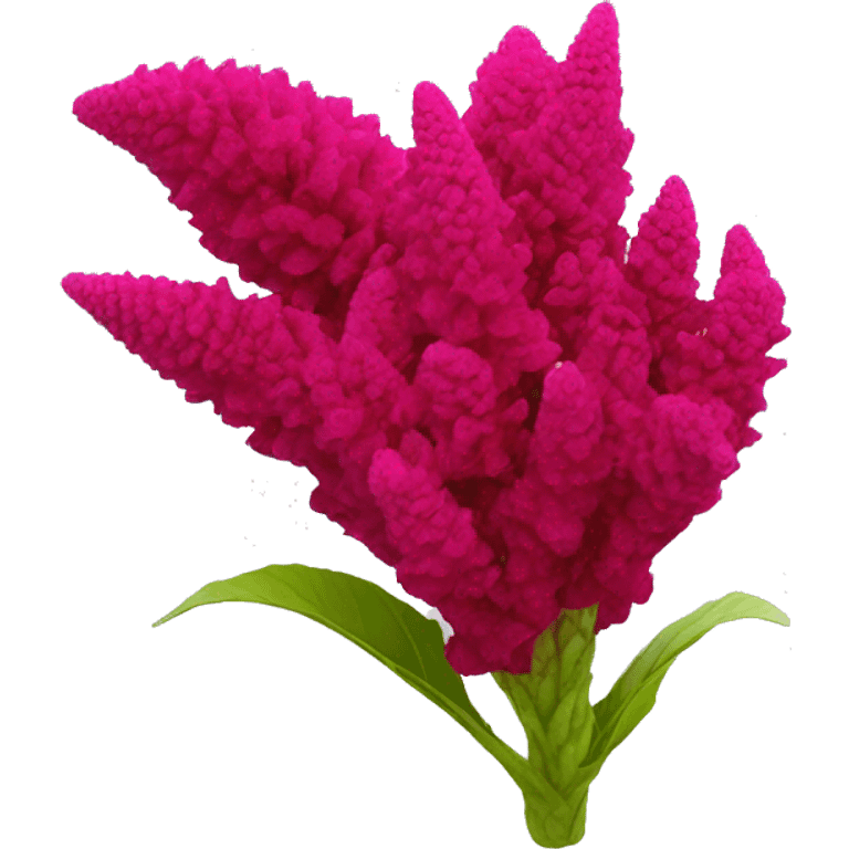 celosia flower emoji