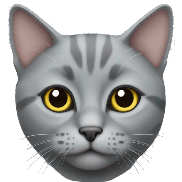 Scottish Grey Cat emoji