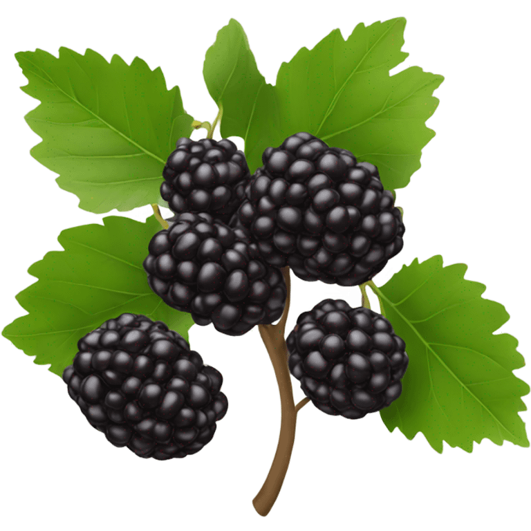 one black mulberry emoji