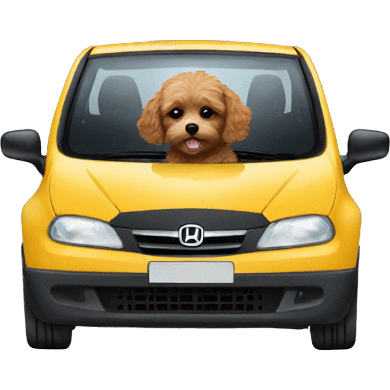 cavoodle driving black honda jazz emoji