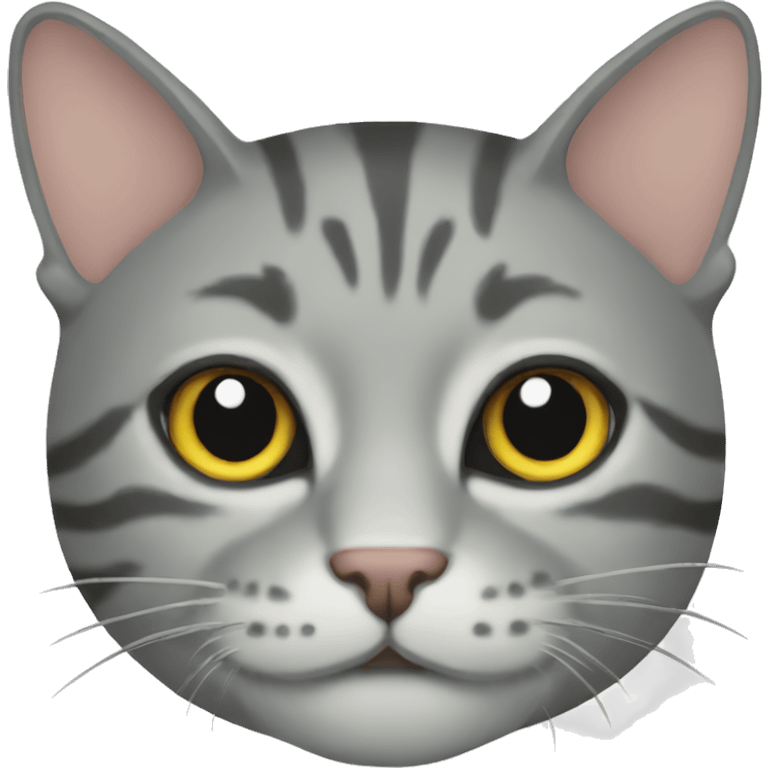 Grey tabby cat emoji