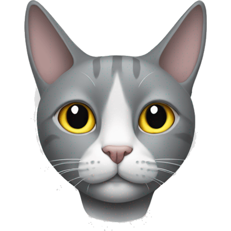 Grey cat with white triangle nose and ring pattern on its tail emoji