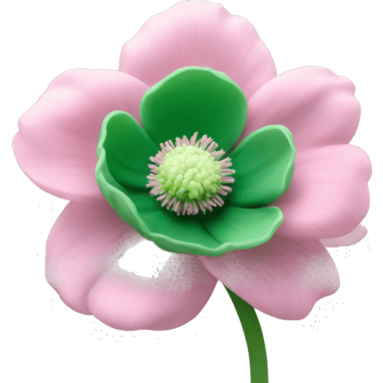 light pink anemone flower with green center emoji