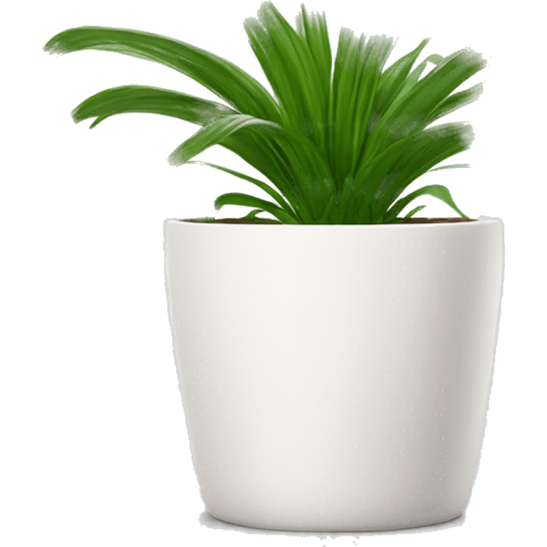 a spider plant in a white plant pot emoji