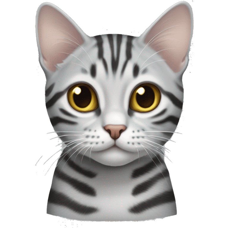 American shorthair cat silver tabby emoji