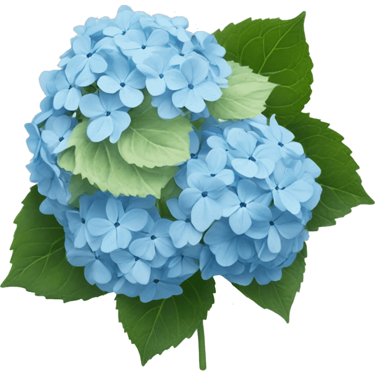 Light blue hydrangea ￼ emoji