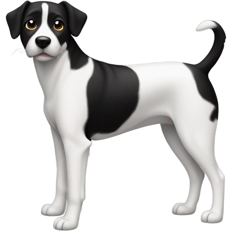 A black and white dog emoji