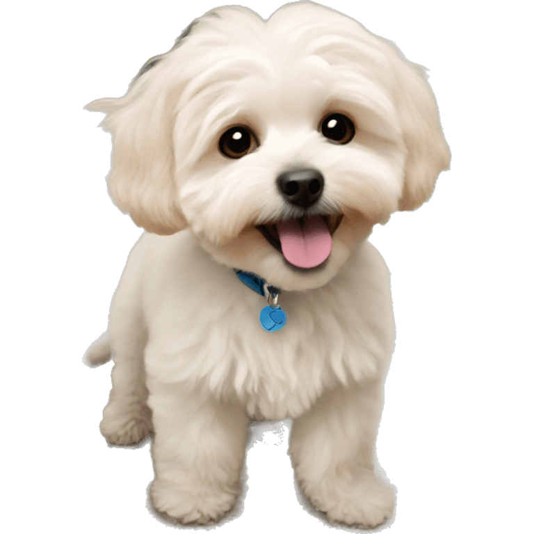 Maltipoo emoji