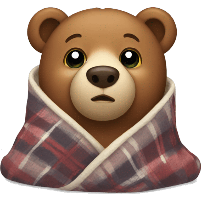 bear cozy in blanket emoji